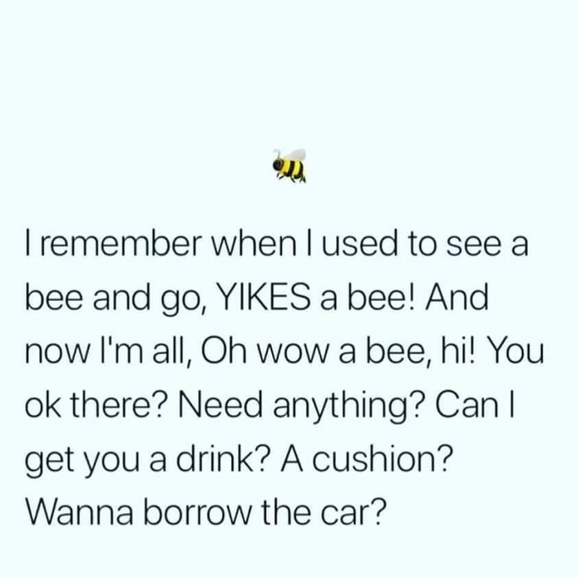 beememebeememe's tweet photo. Bee_irl https://t.co/JVUezIb6gE
