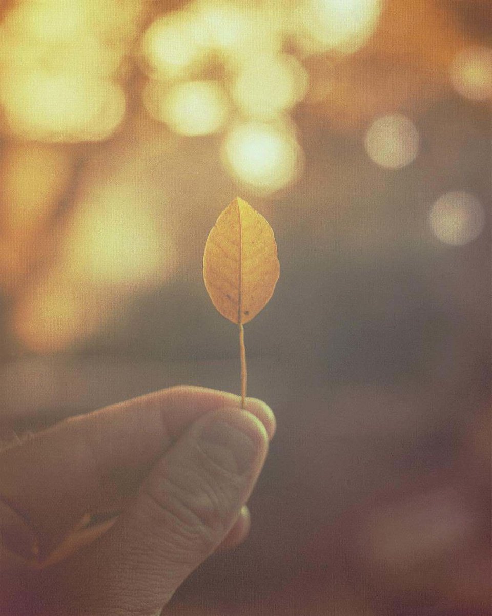 mextures's tweet image. "I just tried to capture the nature that was here, now." Learn more about Lee in our interview with him. lttr.ai/ML8i #photography #Instagram #mextures