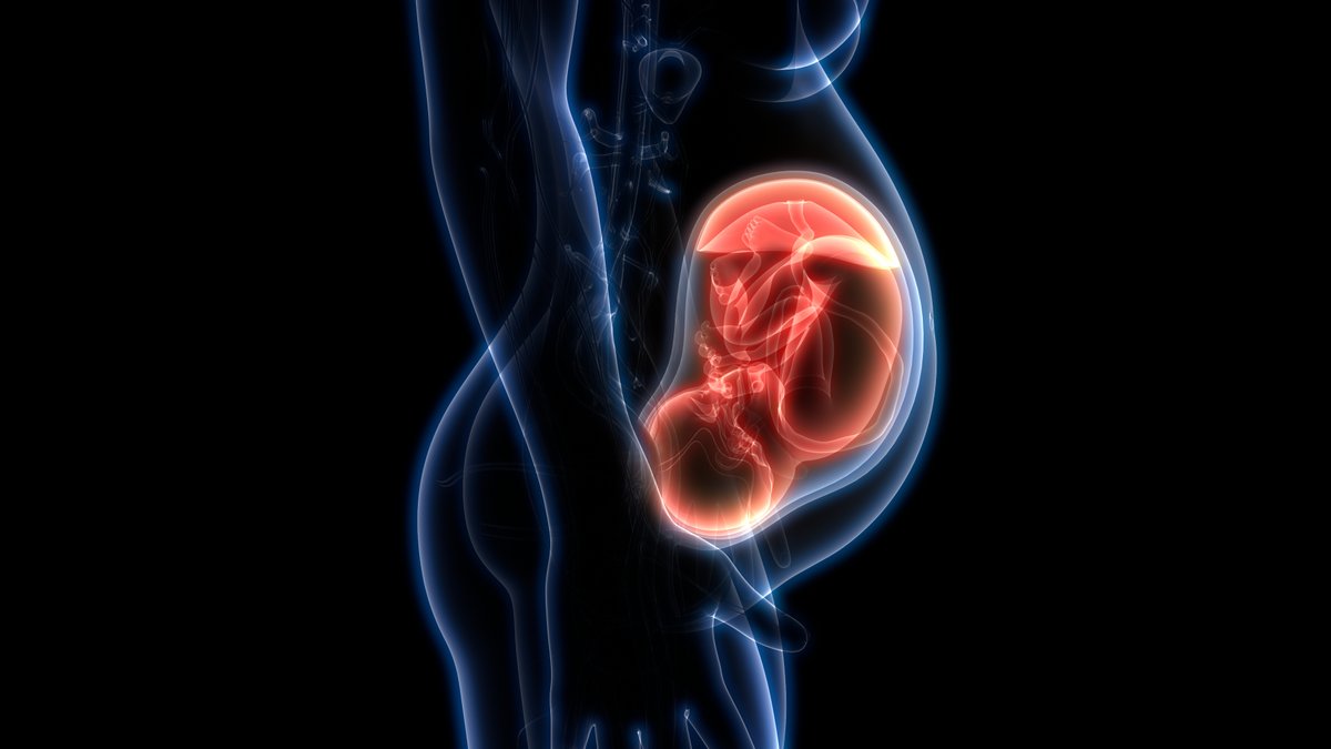 thenhenews's tweet photo. £2.4m awarded to fund new research into stillbirths
https://t.co/ynRNBiCzDW
@NIHRresearch @imperialcollege #Research #Pregnancy @ImperialNHS @TruffleStudy @Christoph_Lees https://t.co/P9CnhuBOBY