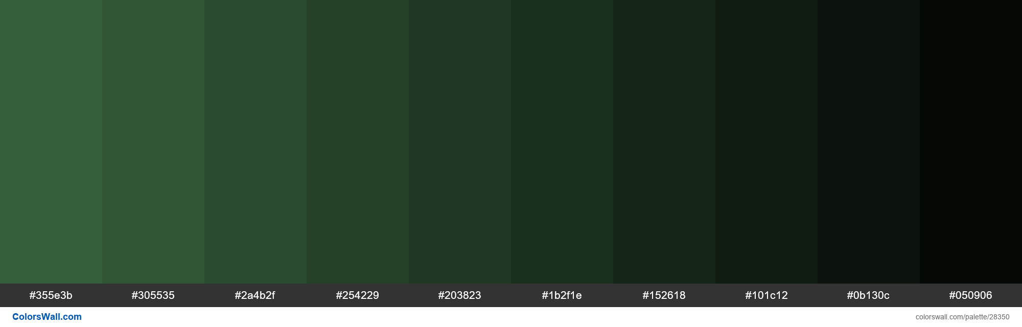 colorswall on X: Shades of Hunter Green color #355E3B hex #355e3b,  #305535, #2a4b2f, #254229, #203823, #1b2f1e, #152618, #101c12, #0b130c,  #050906 #colors #palette   /  X