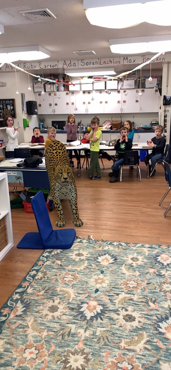 bpkinderclass's tweet photo. We had some special visitors today. It’s never a dull moment in kindergarten! https://t.co/y9RVFWvX2Z