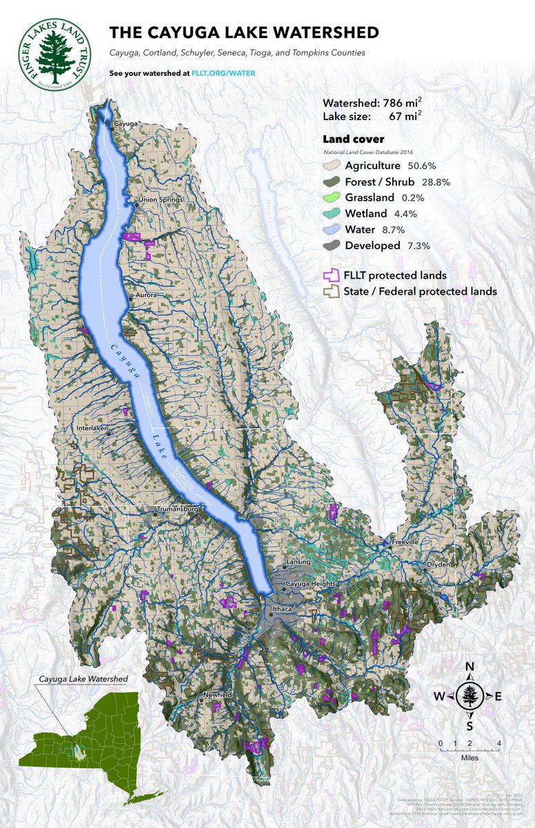 FLLandTrust's tweet photo. The Land Trust has created maps of each of the 11 Finger Lakes to enhance your understanding of the watersheds in our region. Visit https://t.co/U0nLcaSFmC to learn more about our efforts and find out what you can do to safeguard water quality in the #FLX. https://t.co/Yt1n9jhKPu