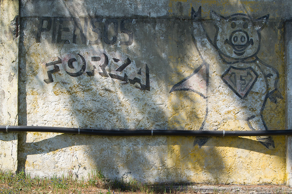 Otra joya en la provincia de Lugo:
Campo A Lomba (Meira, Lugo)

[FOTOS] 👉 eibarsestaox.com/a-lomba-meira-…
