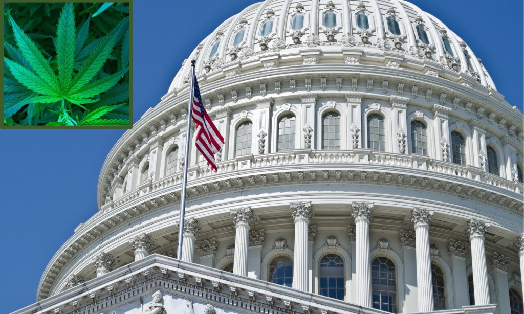 Watch Live: Congressional Committee Holds Hearing On Six Marijuana Bills: "While state laws &amp; public perception around cannabis &amp; its derivatives have evolved over the years, much of the federal framework...has stayed the same." marijuanamoment.net/watch-live-con…