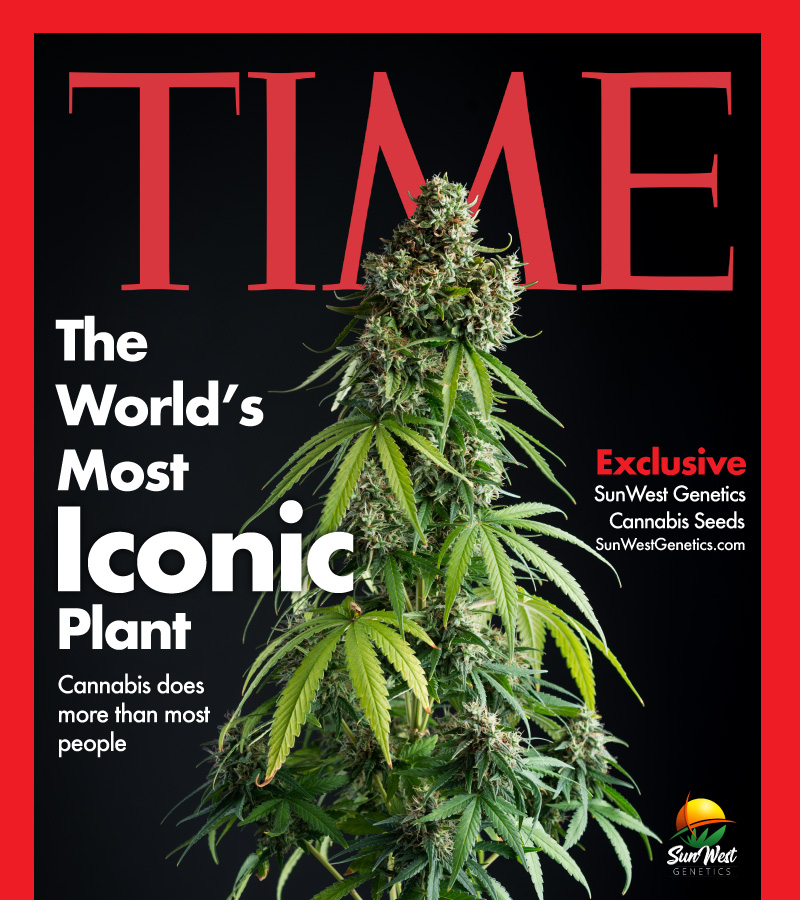 Sun West Genetics tweet media