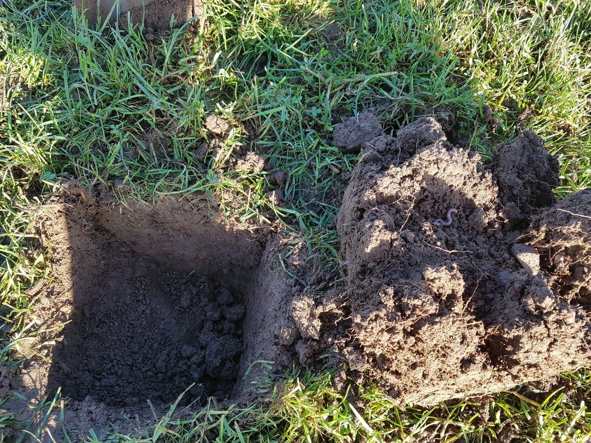 SoilProgramme's tweet photo. Great time of year for soil testing and assessing the health of your soil. Please get in touch with @DevenishNutri to get started on the Soil Improvement Programme #SoilHealth #SoilTesting https://t.co/1zo3snaqsy