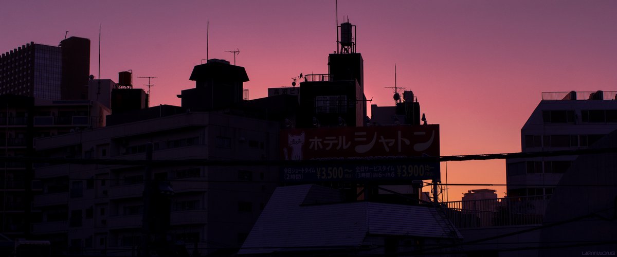 liamwong's tweet image. Evenings in Tokyo