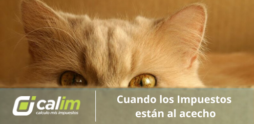 CalimDigital's tweet photo. Los veterinarios, y quienes trabajan con mascotas, también pueden utilizar Calim para liquidar sus impuestos. @calimimpuestos #veterinaria #mascotas #afip #monotributo #recategorizacion #responsableinscripto #autonomo #arba #agip #impuestos #pet https://t.co/kCPhYrw7cP