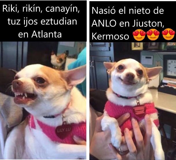mx_gobierno's tweet photo. @fernandeznorona @30JR38 https://t.co/NwyZTGShNa
