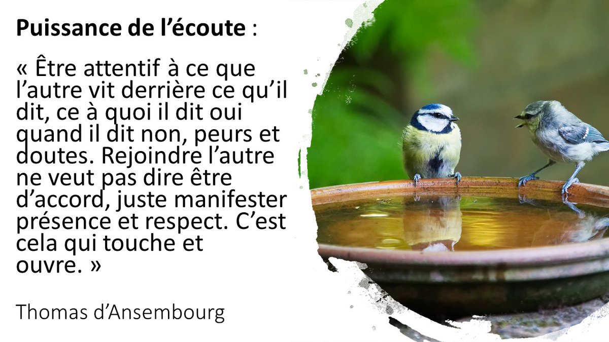 Thomas d'Ansembourg tweet media