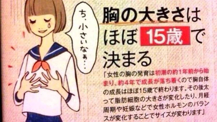 @simoheihe114514 違うの置いときます 