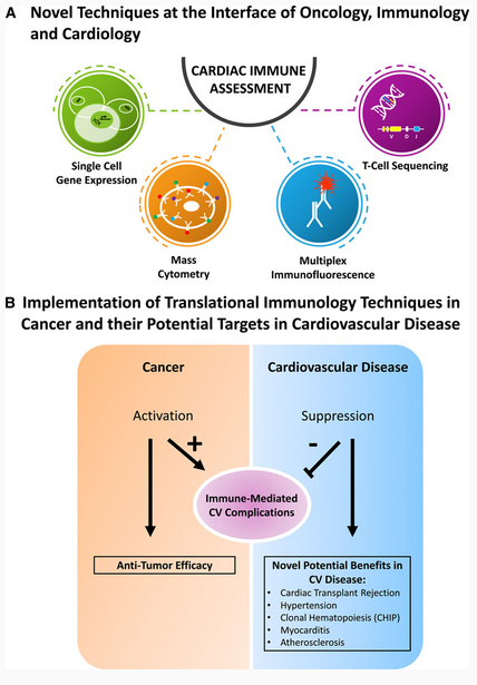 cardiac_fitness's tweet photo. Excellent review @CardioOncology on Cardio-Immuno-Oncology @CircAHA https://t.co/CUGneeZBJB #cardiooncology https://t.co/Fk9BR8egz7