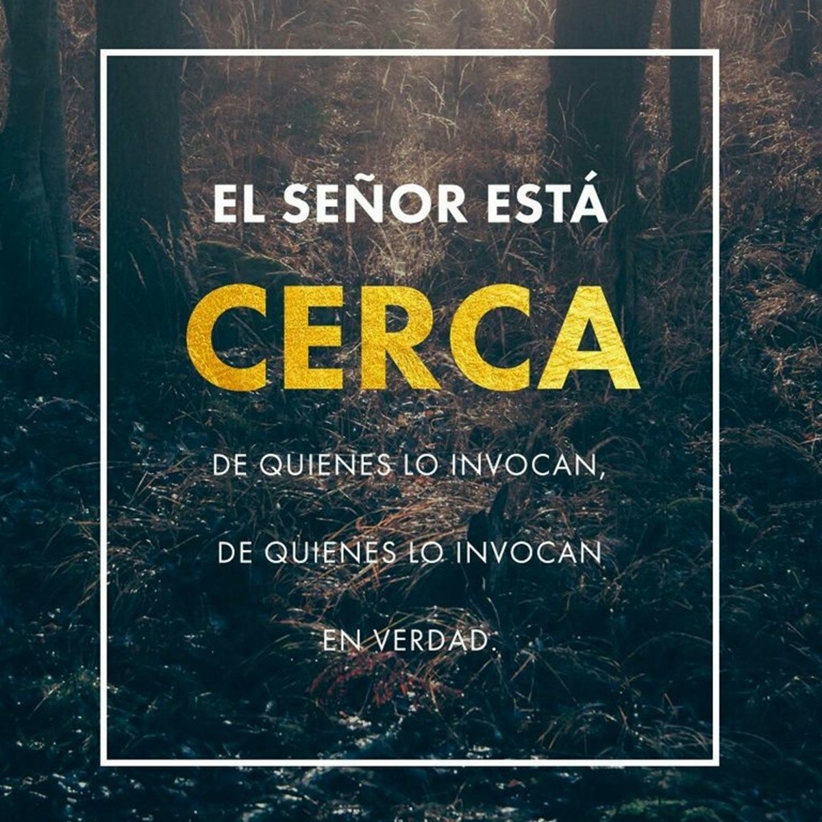roxfiore's tweet photo. Hola, por favor quisiera pedir una oración por mi salud que hoy desperté mal. Muchas gracias Dios los bendiga https://t.co/ShkAwOSDGK