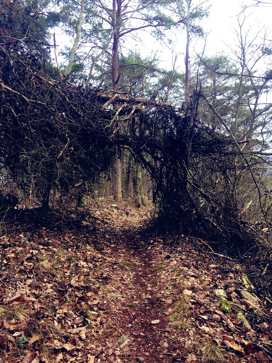 BaldbeardC's tweet photo. I know it’s only Wednesday. Who is ready for the weekend? #trails #trailrunning #pinhoti #buzzardsroost #WednesdayMotivation #wednesdaymorning #run #outdoors https://t.co/ZGgdRgffWT