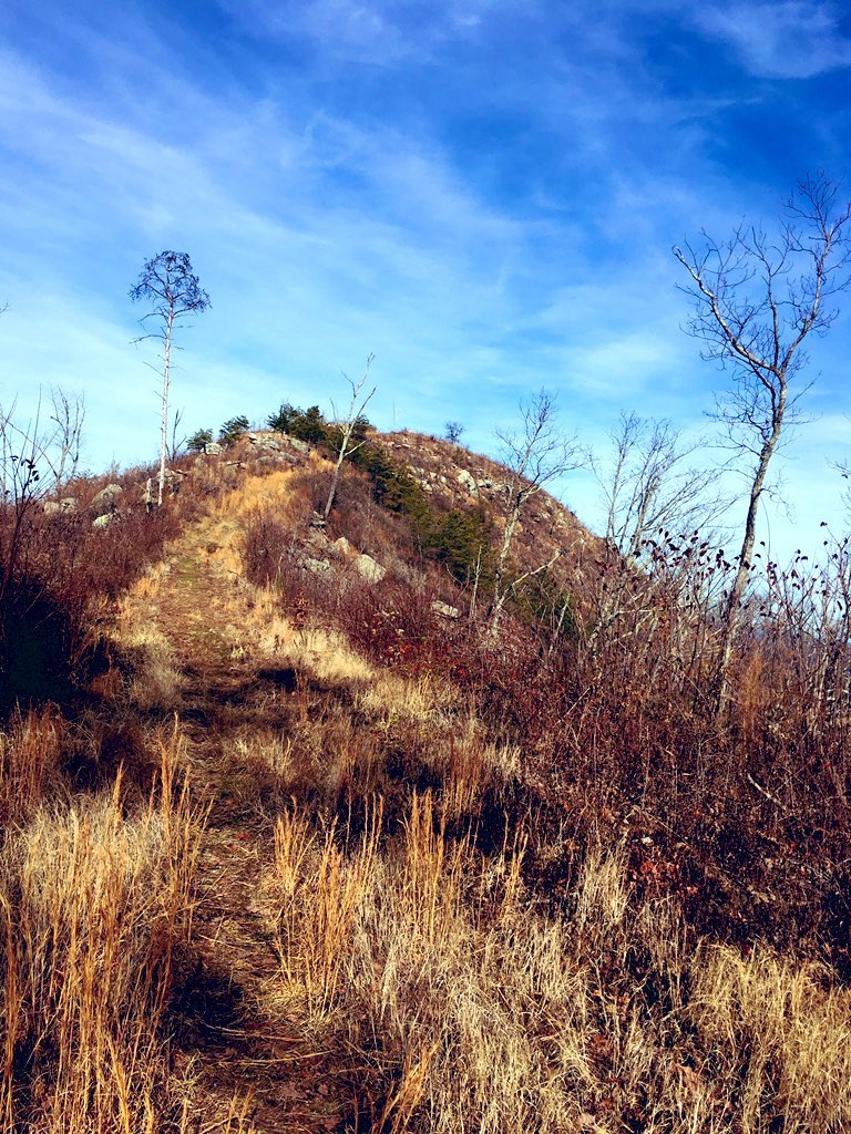 BaldbeardC's tweet photo. I know it’s only Wednesday. Who is ready for the weekend? #trails #trailrunning #pinhoti #buzzardsroost #WednesdayMotivation #wednesdaymorning #run #outdoors https://t.co/ZGgdRgffWT