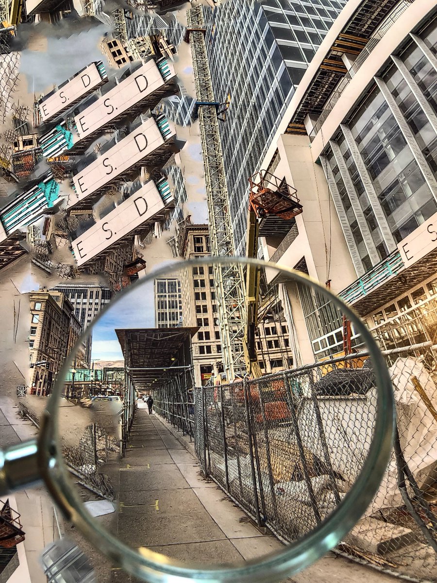 Virginia Rainey tweet media