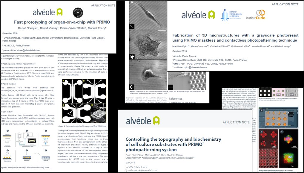 AlveoleLab's tweet photo. Having a hard time finding the right design of: #microfluidics chips, #organonachip, #microwell size, or complex #microstructures? 🧐Check how Primo maskless #photopatterning system for rapid prototyping #microfabrication could be THE solution!👉App notes: https://t.co/C77wUnLvZs https://t.co/St1QGeozDs