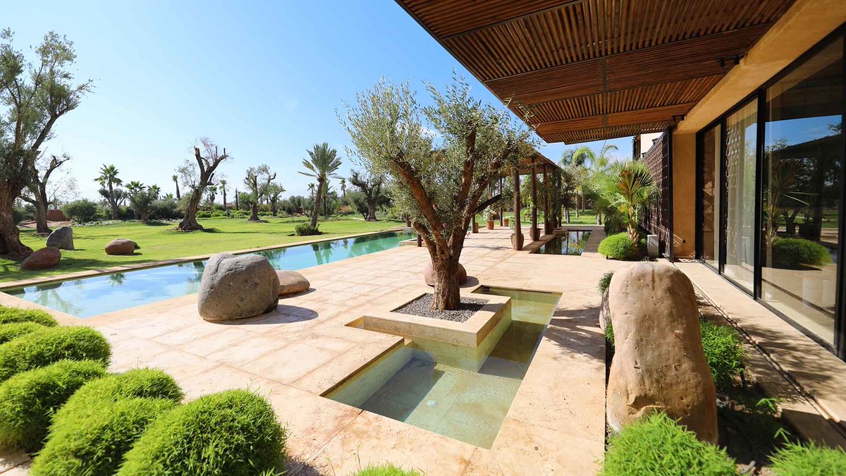 Kensington Morocco tweet media
