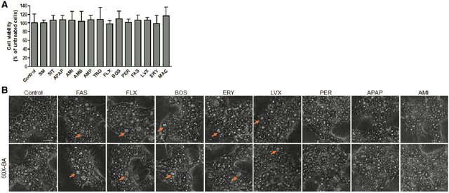HepaRG cells efficiently highlight the cholestatic potential of drugs by displaying changes in bile acid profiles where in the presence of physiological serum BA concentrations, the major cholestatic drugs, induced cellular accumulation of BAs.