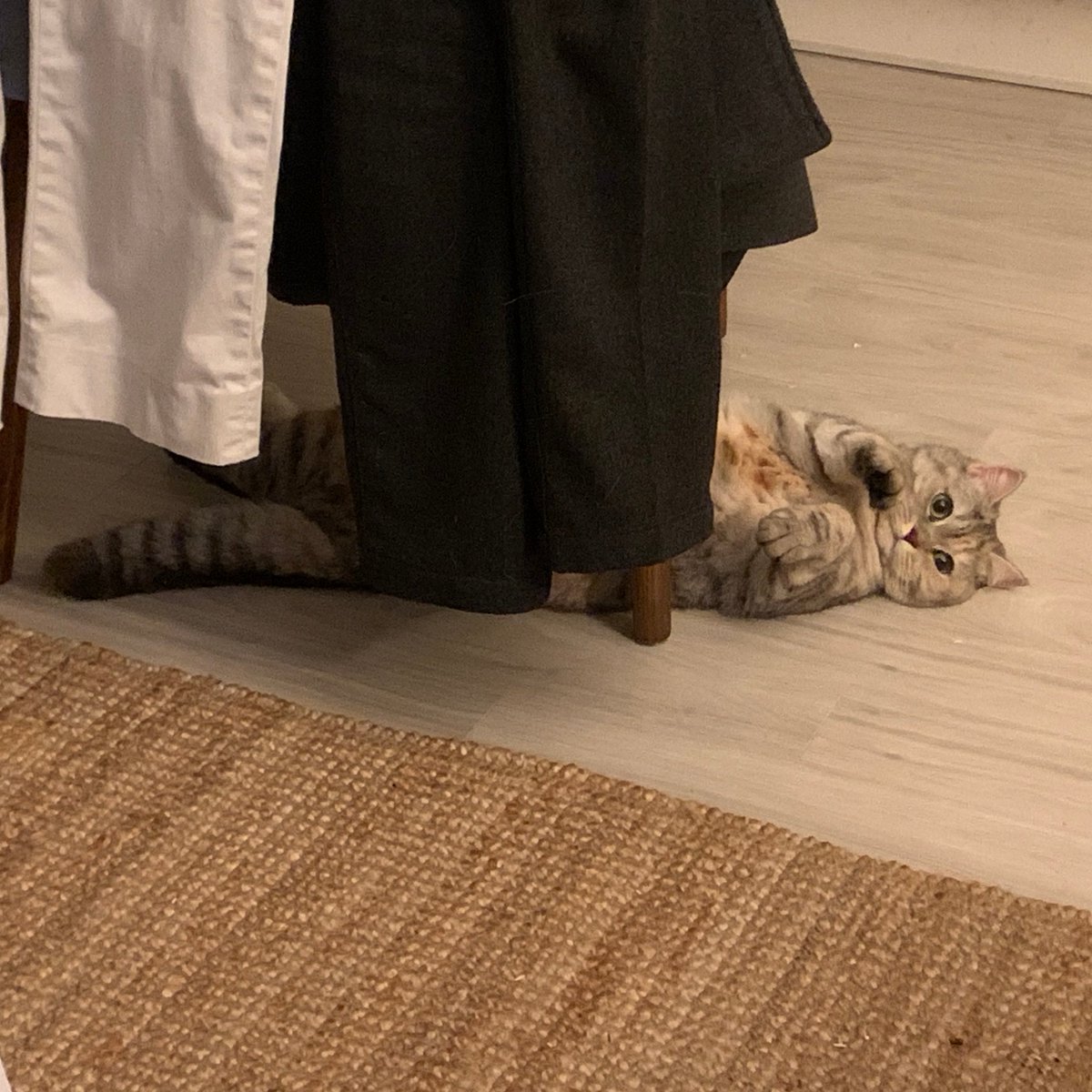 한국 조상의 지혜 온돌을 즐길줄 아는 고영