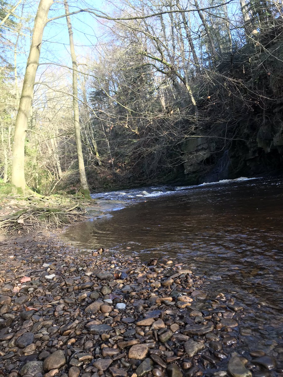 LikeOldTat's tweet photo. Lush blustery walk around the C18th #HartburnGrotto (Adam and Eve sat in the niches) and surrounding countryside. The #AncientRoman #DevilsCauseway ran through here @DrJEBall @_RomanBritain @TrimontiumTrust @Dougwriter https://t.co/SK8NRolcz6