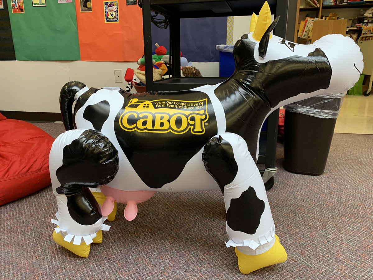 plsweeney1's tweet photo. My 2nd grade #WFEReaders will be so excited about our udderly amazing gift from @cabotcheese and Dutch Hollow Farm. We did an amazing virtual field trip on dairy farming with them when learning about rural communities. https://t.co/LHSeC5h8h3