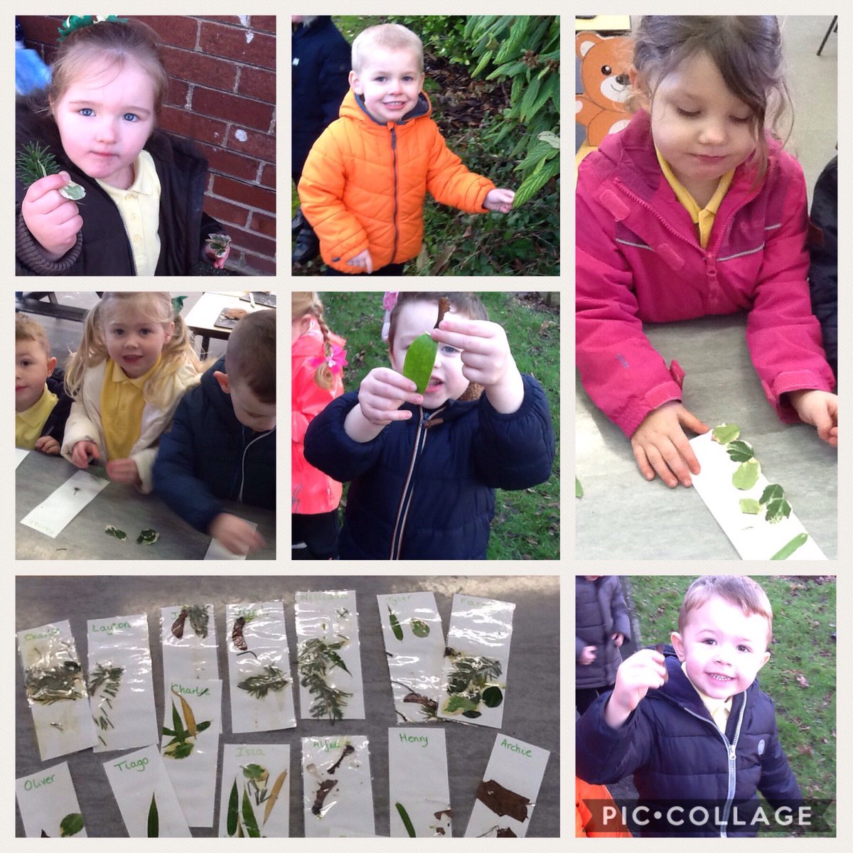 BGPrimary's tweet photo. Nature walk to make natural bookmarks, we were 'Outdoor Explorers' in nursery today. Working towards the ladybird forest school award. @fruitsforest16. #fruitsoftheforest #forestschool https://t.co/aMsHXF8sIy