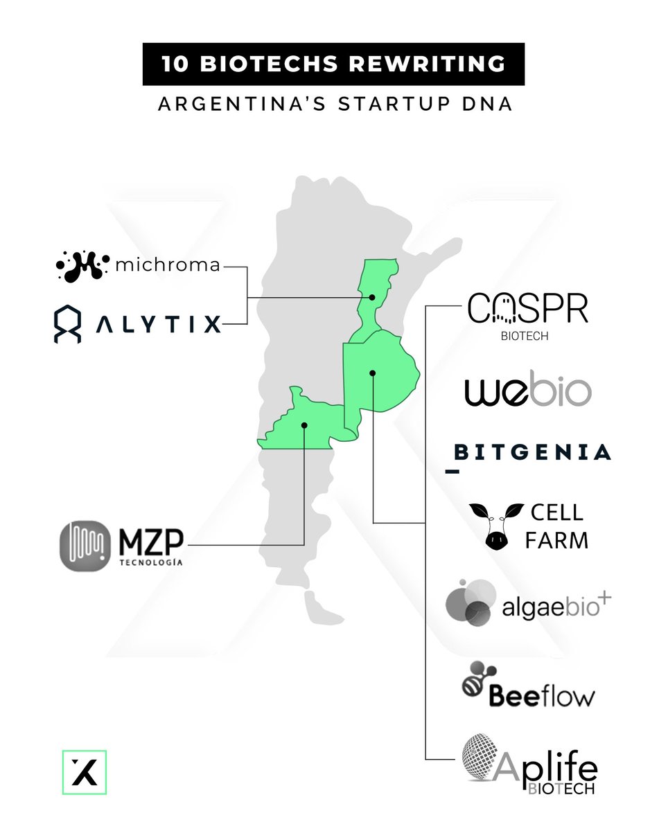 10 biotechs rewriting Argentina's startup DNA
🇪🇸bit.ly/10-biotech-arg…
🇺🇸bit.ly/10-biotech-arg…

#Caspr <a href="/michroma_co/">michroma</a> <a href="/Alytix_Biotech/">Alytix</a> <a href="/BitgeniaOK/">Bitgenia</a> <a href="/Beeflow/">Beeflow</a> <a href="/Algaebiomas/">Algaebio+</a> #Aplife <a href="/mzptec/">MZP</a>
