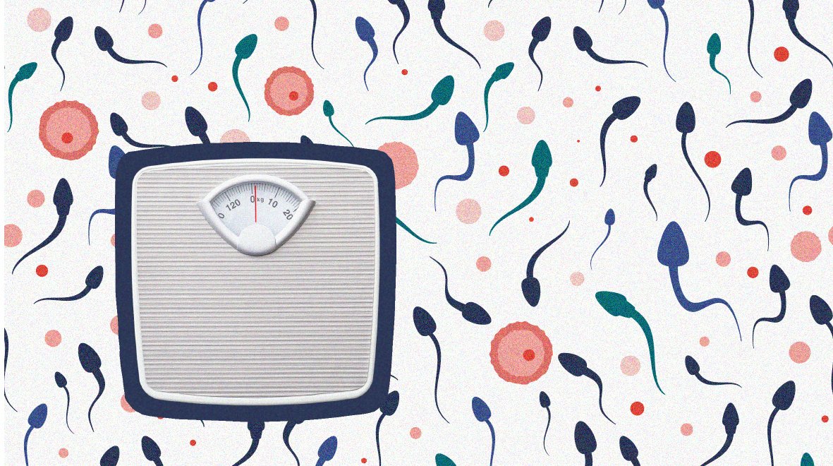 ⚖️ Could weight loss improve #infertility in obese men?

✍️ Over on the #blog, our <a href="/InfertmRes/">Imperial Andrology Research Group</a> team write about the first randomsied clinical trial looking at the effect of weight loss on sperm quality.

ow.ly/4sZu50xW85s