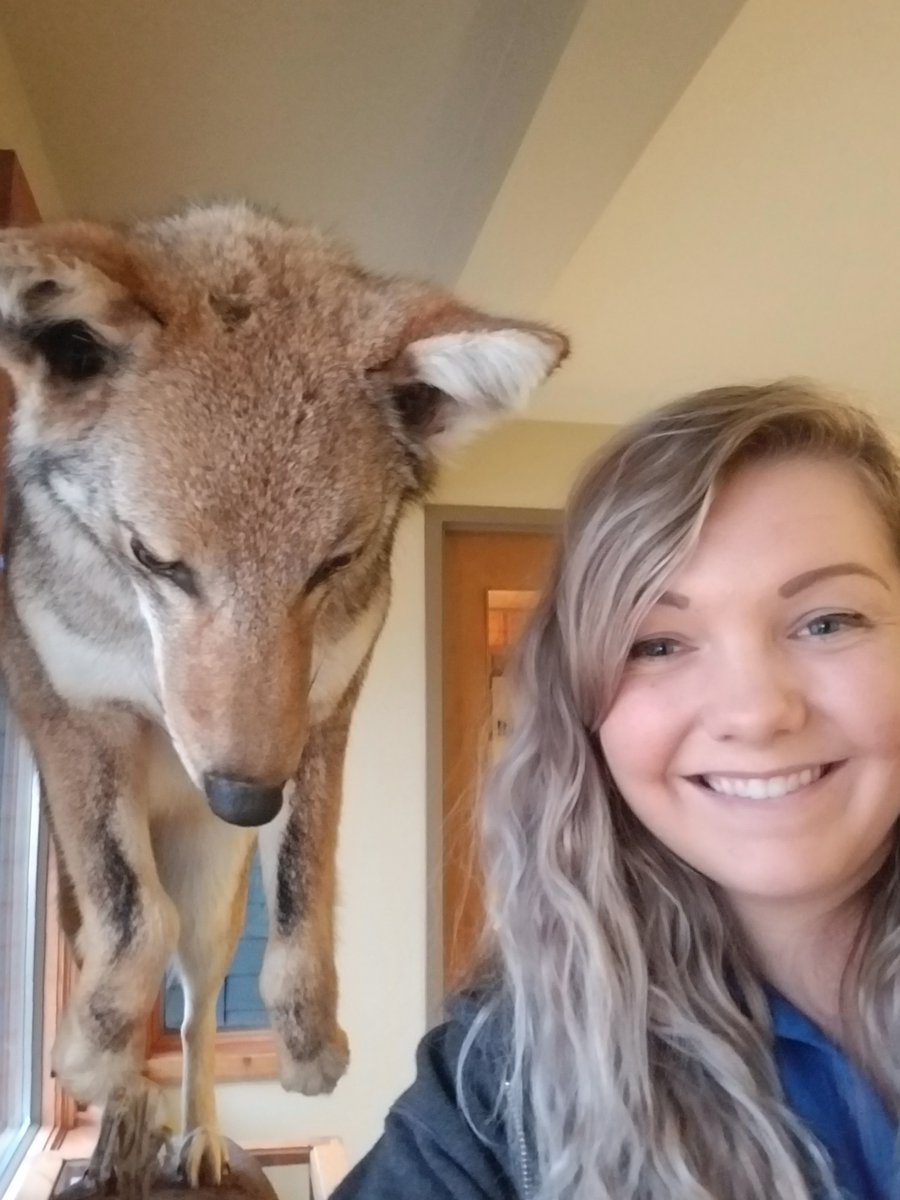 DiscoverMCCD's tweet photo. Today is #MuseumSelfieDay! We asked a few staff members to take selfies with various education artifacts, exhibits at Lost Valley Visitor Center, and at the historic Powers-Walker house in Glacial Park! #MuseumSelfie #DiscoverMCCD #GlacialPark https://t.co/GFVsqlRxiz