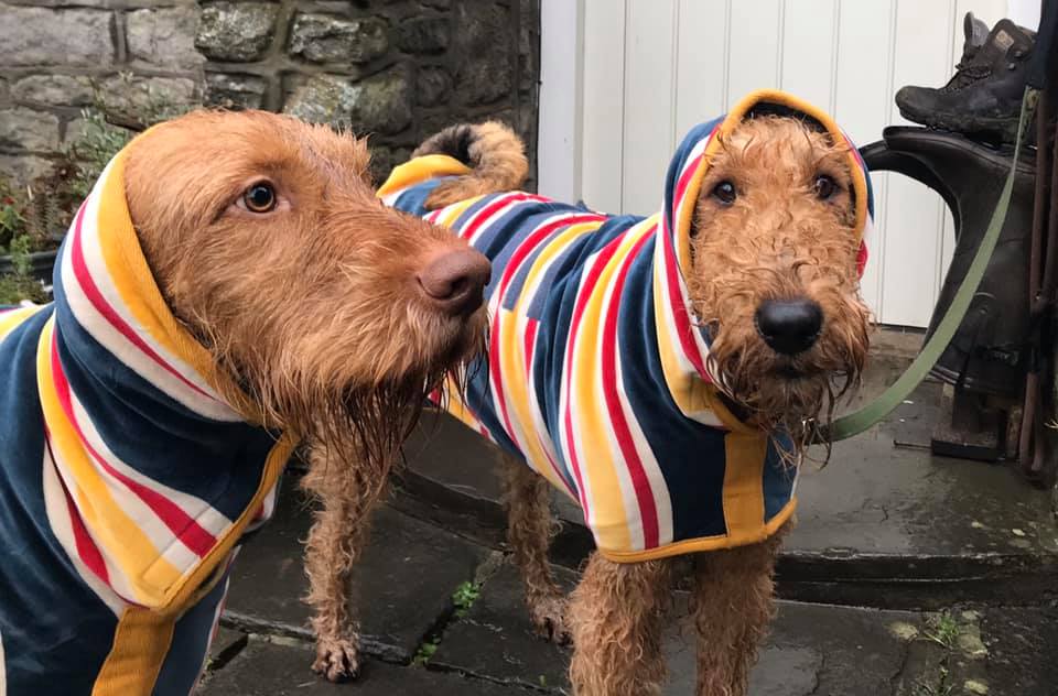 RuffTumbleCoats's tweet photo. Beach Drying Coats - our newest and designer Drying Coat is 25% off in our January sale - WOOHOOH!

Even in the smallest size, you'll save over £10.
SO much less hassle than faffing about with thin towels.... ;)

SHOP: https://t.co/LzAITuXPTS…/design-collection-drying-coatso… https://t.co/OyH5zqoBEw
