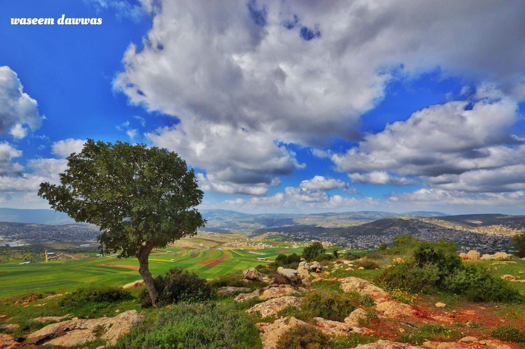 ���� ���� ������ �� ���� ������