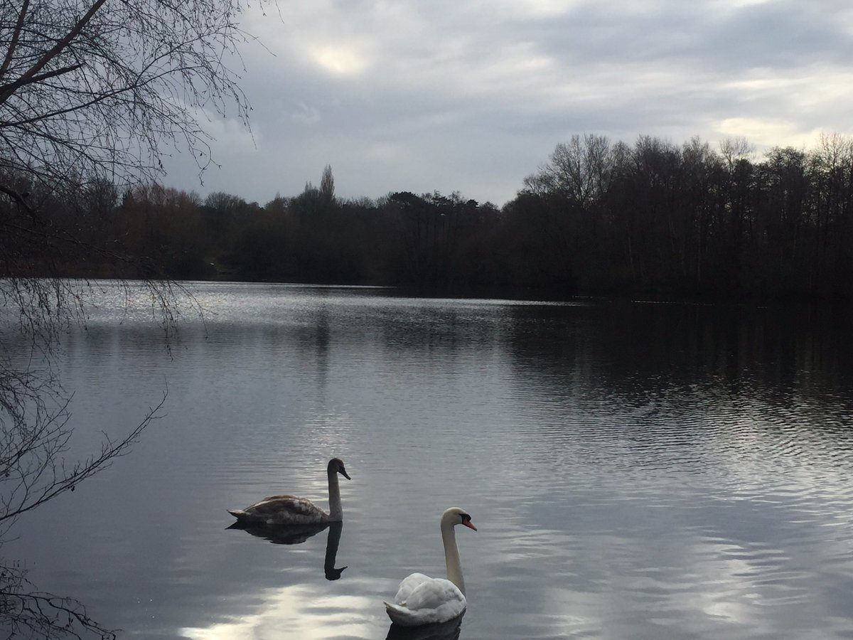 KNashTV's tweet photo. This lake is home to more than 100 species of wild birds but also runs through the heart of plans for HS2. Preparations for a viaduct are already underway. @HMWTBadger told me it’ll have a devastating impact on wildlife. Full report on @5_News at 5pm. https://t.co/jIphQ59neO