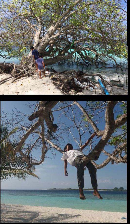 MaryamWaheedha's tweet photo. މީ ޢަބްދުﷲ އާއި އޭނާގެ ކޮއްކޮ. މިއީ އެކުދިން ދުވަހުގެ ބޮޑުބައި ހޭދަކުރާ ތަން.  ވެއްޓެމުންދާ ގަސްތަކާ ގިރާ ހުސްވެފައިވާ ގޮނޑުދޮށަށް ބަލަން އެކުދިން އެތިބީ ހިތާމަޔާ ހިތްދަތިކަމާ އެކު. އެކުދިންގެ މާޔޫސްވެފައިވާ  ނަޒަރު ބުނާ ކަހަލަ، އަހަރެމެން މިތަނުގައި އުޅެން ބޭނުން
@SaveFainu https://t.co/BKopsIGRGv