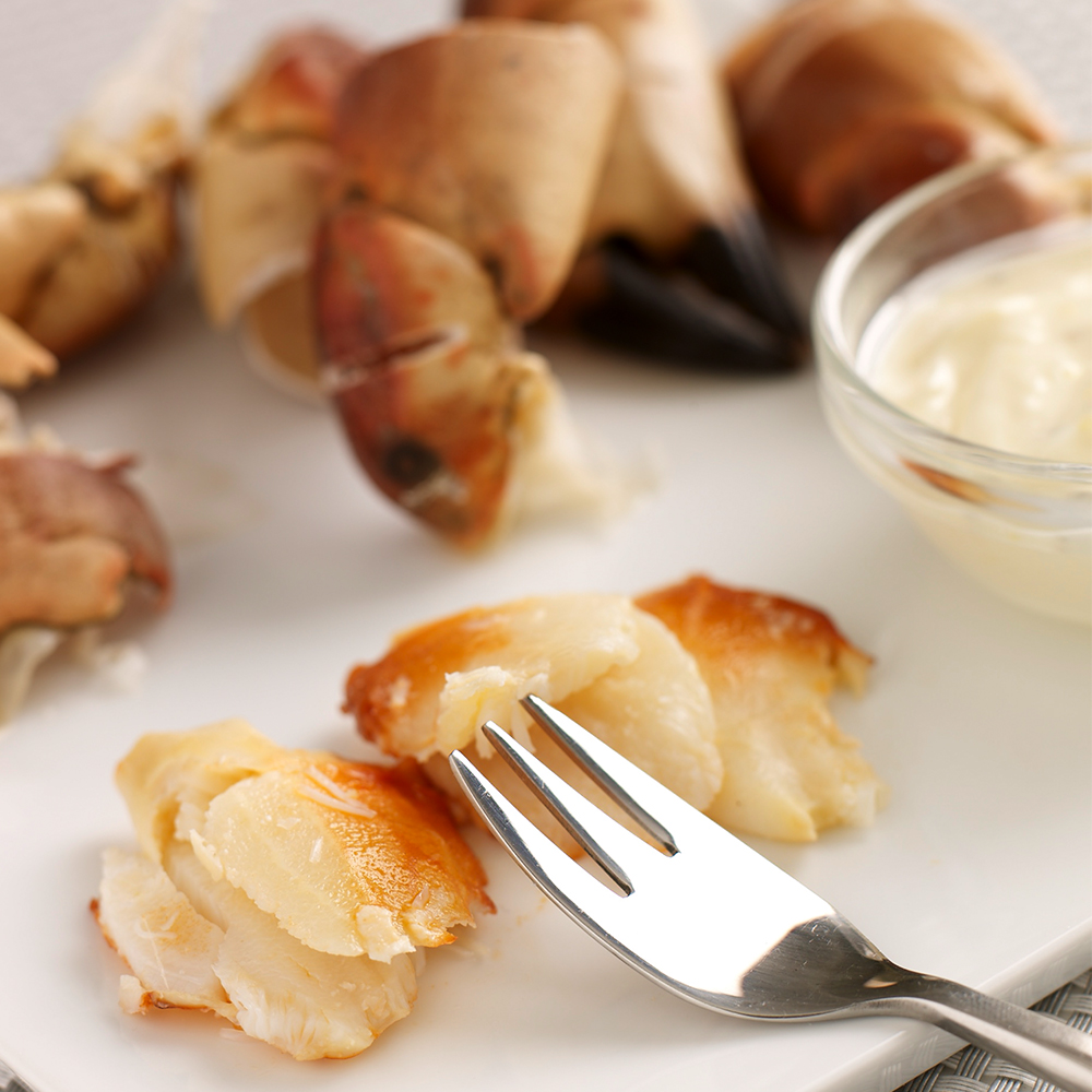 TheBigPrawnCo's tweet photo. The perfect #CrabClaws pairing? A light and #zesty #lemon #aioli! Check out our #tasty #recipe here > https://t.co/vTcft5VEQf

#Crab #Seafood #LoveSeafood #LemonAioli https://t.co/jZSPjkXn8Q
