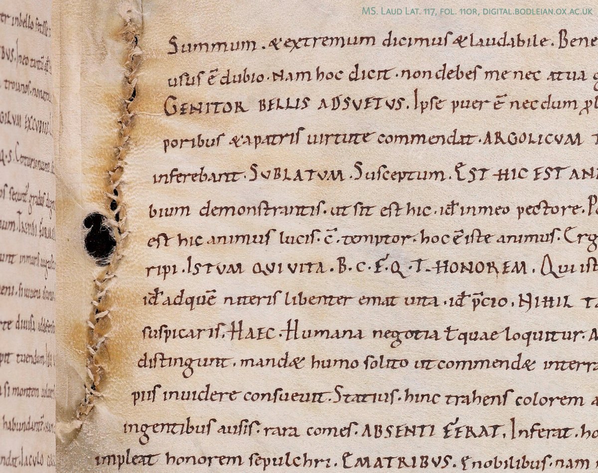 Detail from a medieval manuscript page, with damaged parchment repaired with thread.