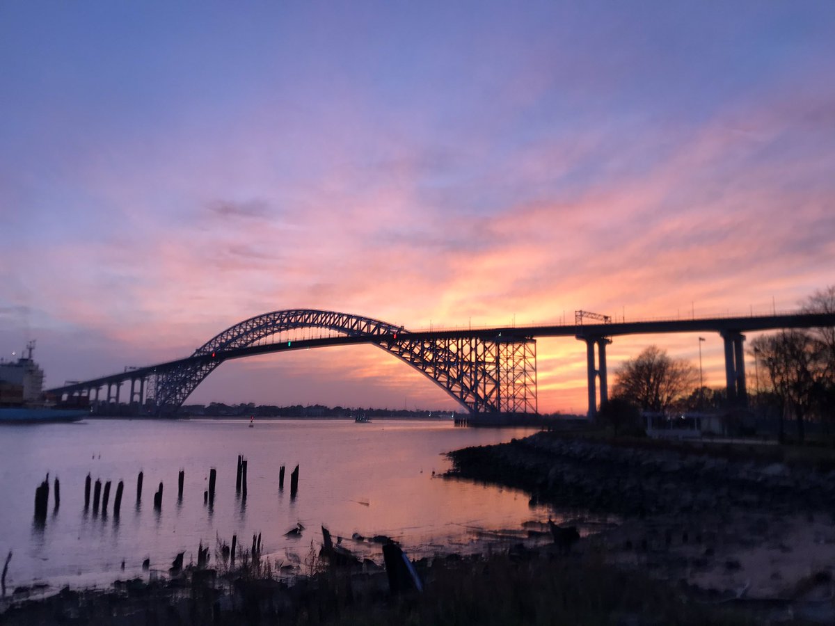 Michelle Larner tweet media