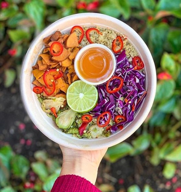CAC_America's tweet photo. Our compostable fiber bowl which can be paired with a clear or fiber lid.

⁠#whynotnow #bethechange #letscompost #NoPlasticWaste #SeatheFuture #changeisinyourhands #saveourseas #saveouroceans #bansingleuseplastic #plasticsucks #stoptheplastictide #saynotoplastic https://t.co/OurwCAziXa