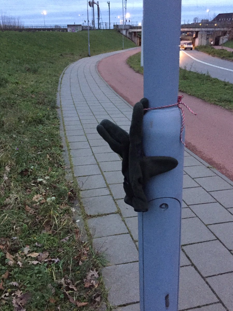 ilegne's tweet photo. Handschoen wacht al vele weken op zijn hereniging #nietkoud #geenwinter #warmewinter https://t.co/Vqk8jQ2hSR