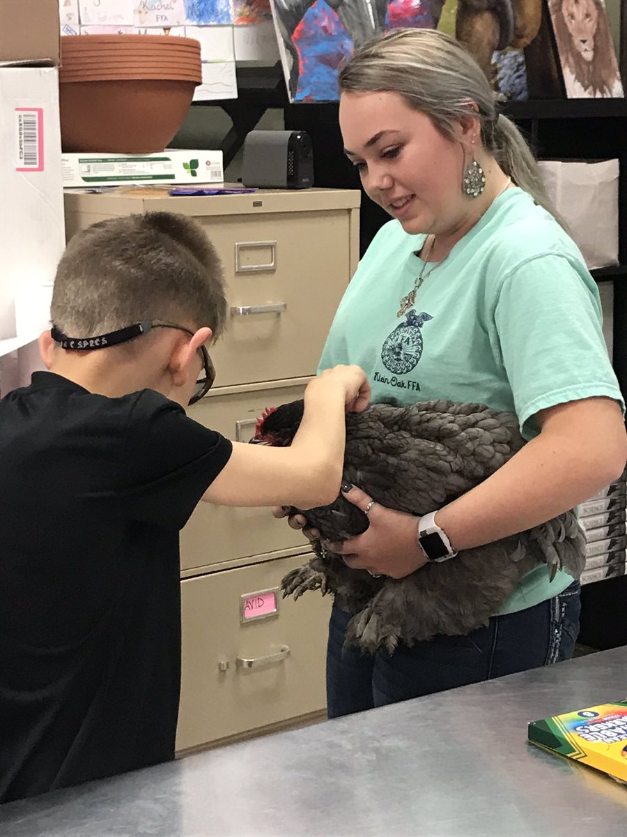Mrs_Topa's tweet photo. My CTED class was EGGcited to pet and learn about Torie’s breeding hen today. She is one busy hen as she will soon meet all of our future panthers as well at the 8th grade visits. Thanks for sharing her with us! #oakffa #kleinoak https://t.co/Its6ULPTZg