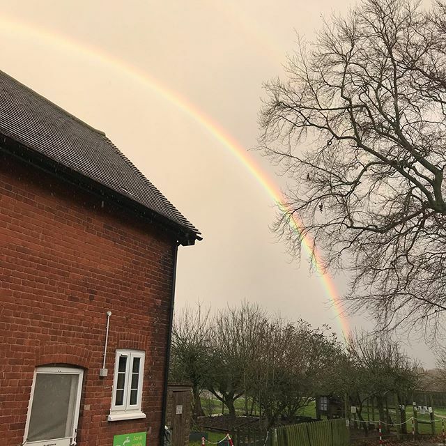 Cardfields tweet media