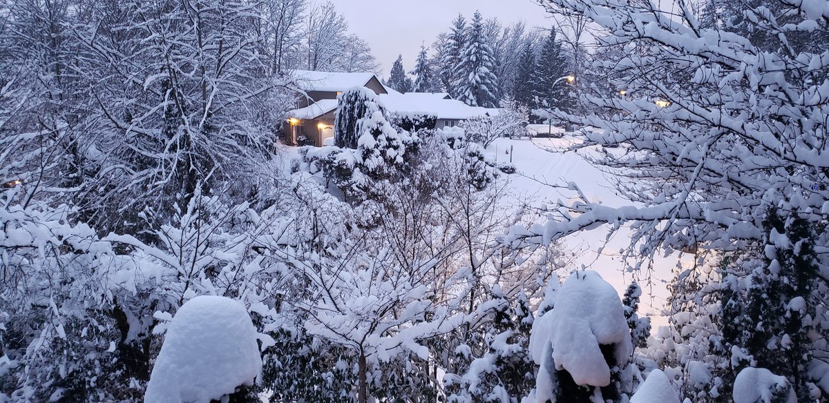 CentEntArtsPete's tweet photo. #Snowmageddon2020 https://t.co/6drIyE9BtP
