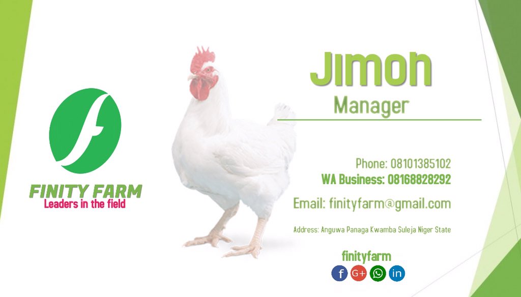 FinityFarm's tweet photo. Contact us today for live chickens 🐓. We deliver to your doorstep. #poultry #finitychicken #finityfarm @FinityFarm @officialiCare #chickens https://t.co/LySjapuOTG