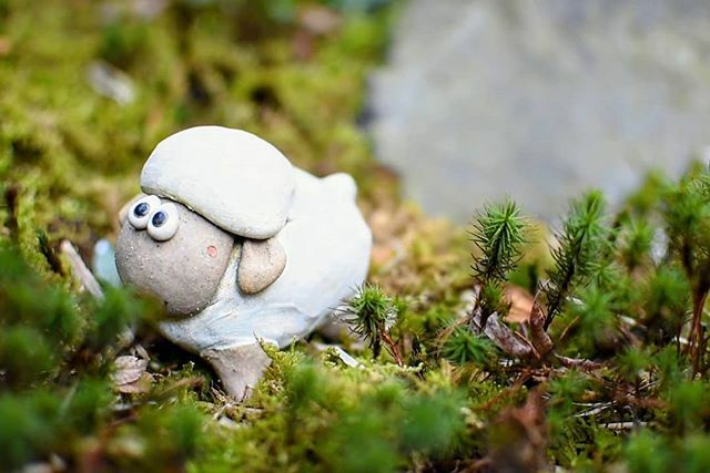 Chiko 成田山の参道にある三芳家にて 庭にさりげなくいて可愛かった なぜかプッチンプリン食べたくなる 笑 三芳家 ヒツジ ファインダー越しの世界 写真好きな人と繋がりたい Chiba Japan Naturephotography Garden Sheep T Co