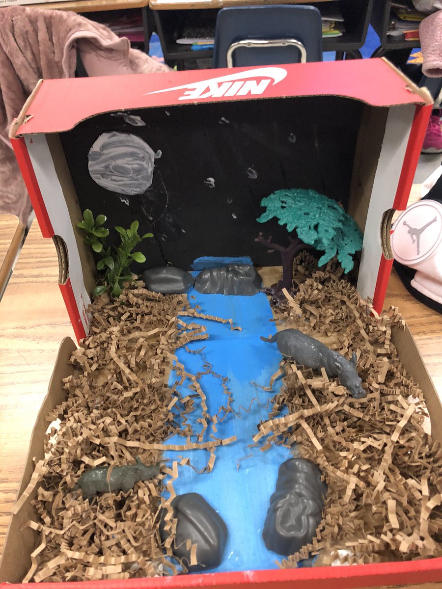 Vajda03513769's tweet photo. Check out some of our classes habitat project! @SwansCreekES #notmediocre https://t.co/P0m6F14mZJ
