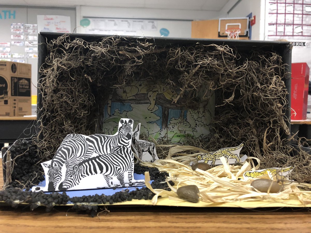 Vajda03513769's tweet photo. Check out some of our classes habitat project! @SwansCreekES #notmediocre https://t.co/P0m6F14mZJ