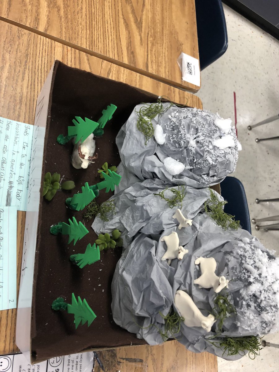 Vajda03513769's tweet photo. Check out some of our classes habitat project! @SwansCreekES #notmediocre https://t.co/P0m6F14mZJ