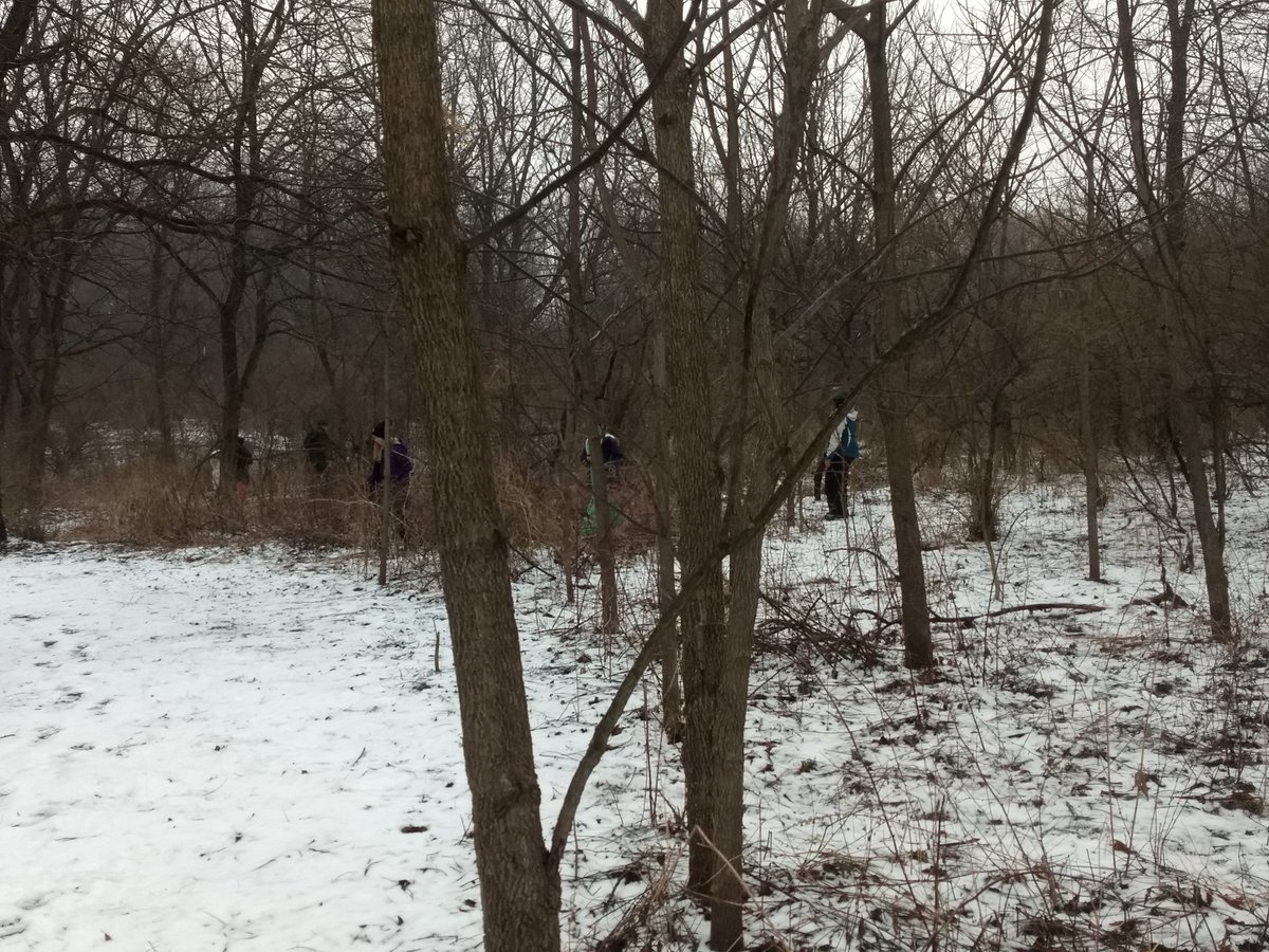 WJHSOE's tweet photo. Instincts for Survival https://t.co/urX3kCbEGT