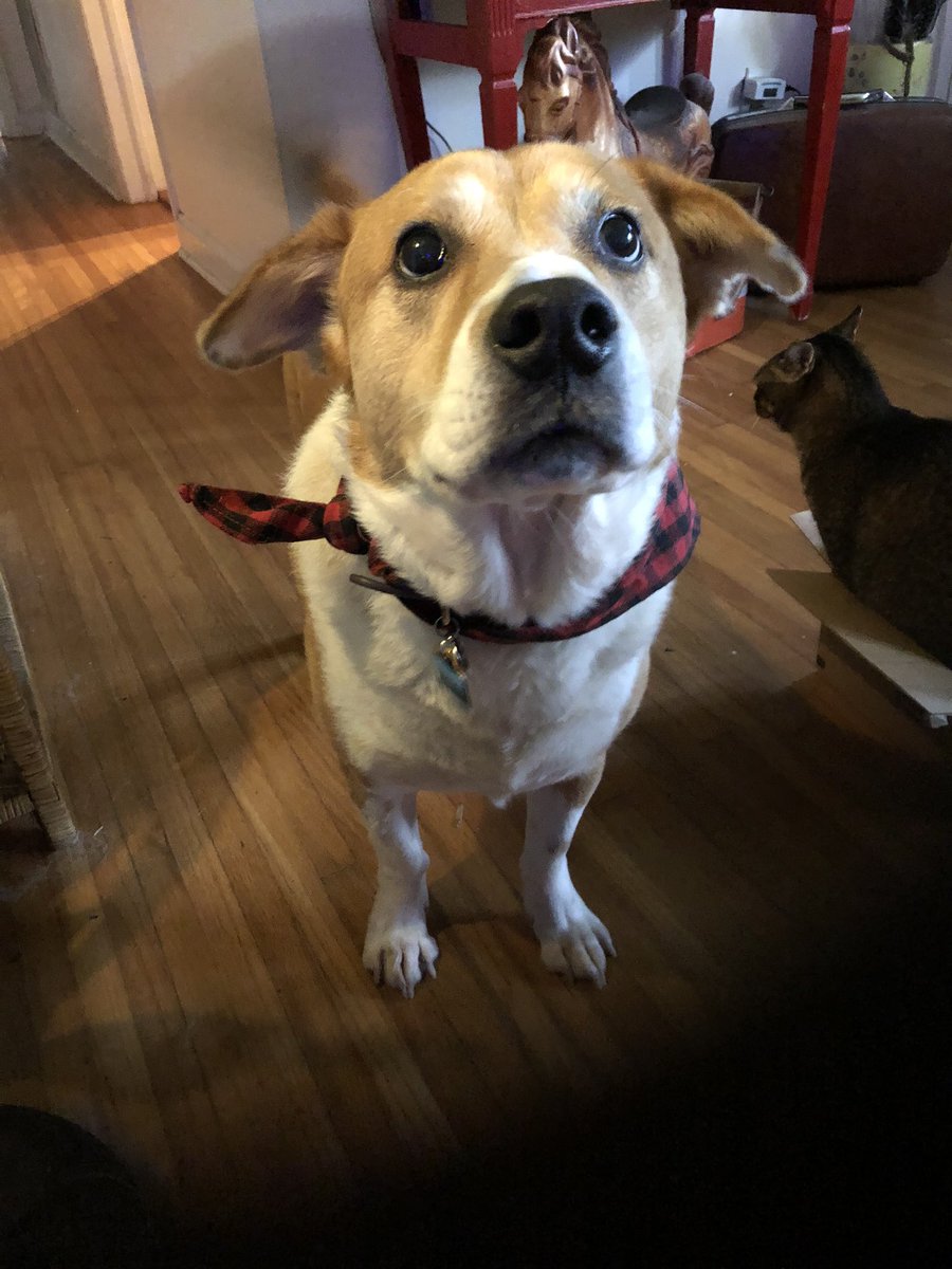 Too much coffee , not enough <a href="/EatDefeatUK/">😕 Eat Defeat</a>.