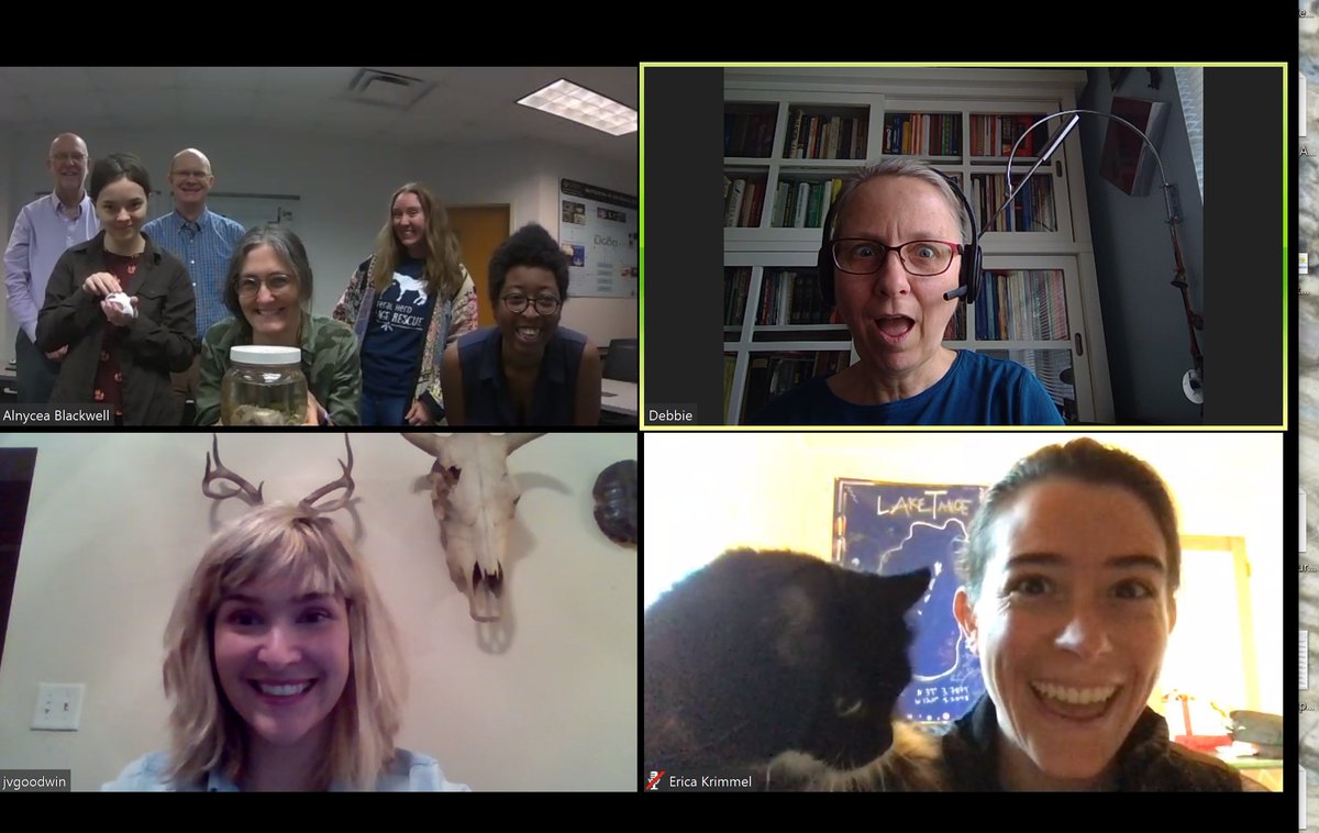 Screen capture of a Zoom meeting showing four video feeds of goofy iDigBio team members. 